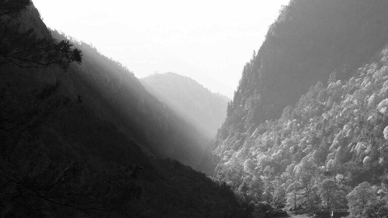 11Xplay Kya Hai Aur Kaise Kaam Karta Hai?